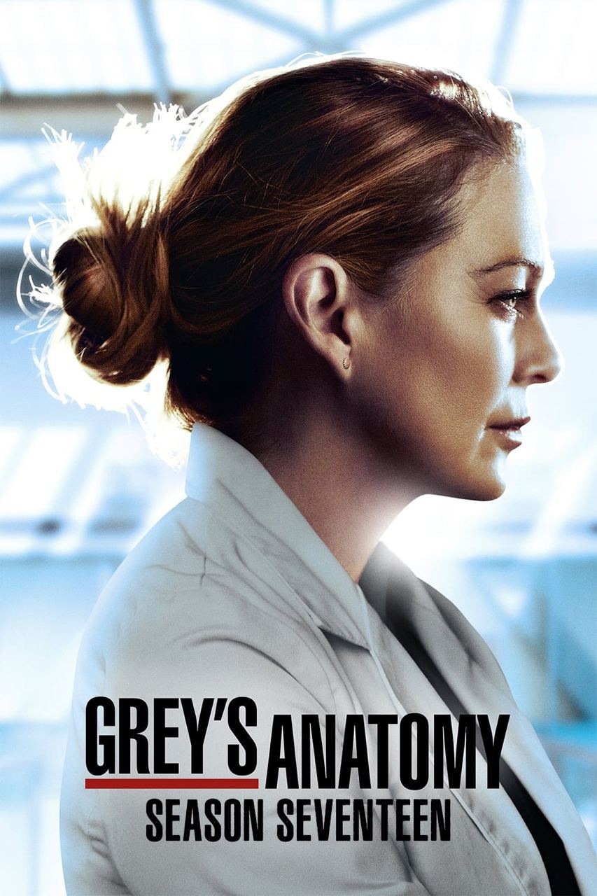 实习医生格蕾 Grey's Anatomy （S01-S18）  1080P